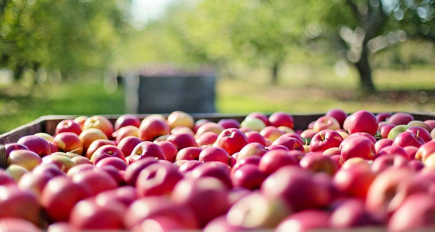 deumidificatori per industria alimentare